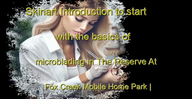 Skinart Introduction to start with the basics of microblading in The Reserve At Fox Creek Mobile Home Park | MicrobladingTraining | MicrobladingClasses | SkinartTraining-United States